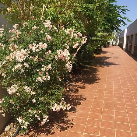 Flamboyan * Puerto Rico (Gran Canaria)